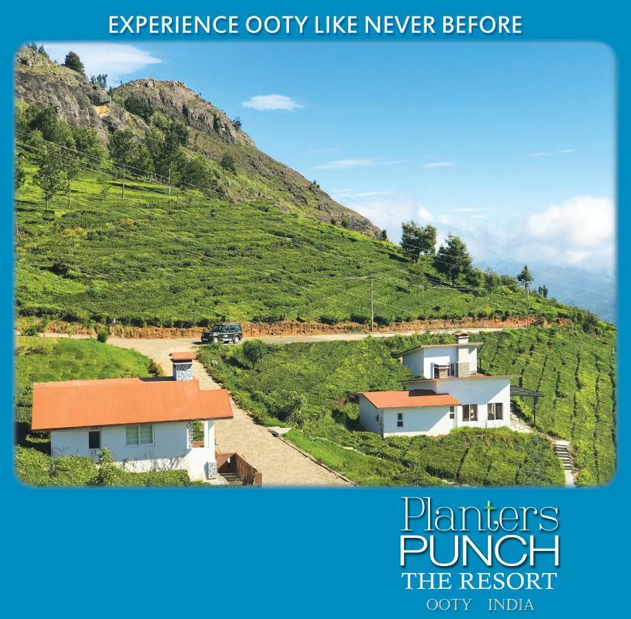 Planters Punch Villa Ooty Buitenkant foto