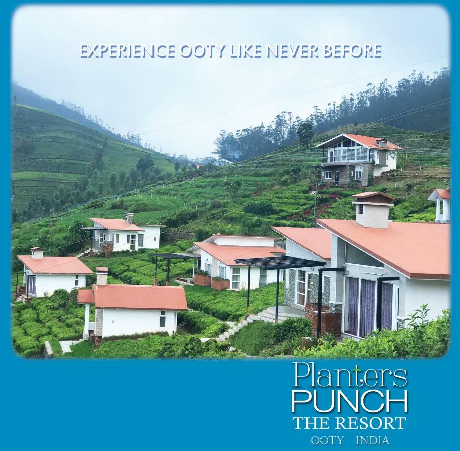 Planters Punch Villa Ooty Buitenkant foto