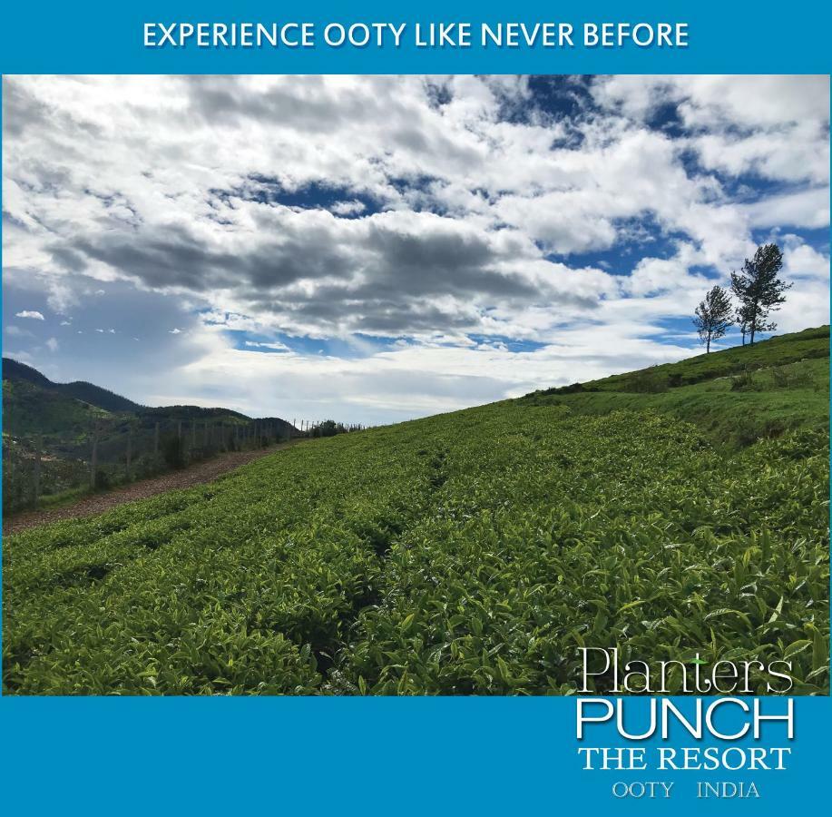 Planters Punch Villa Ooty Buitenkant foto